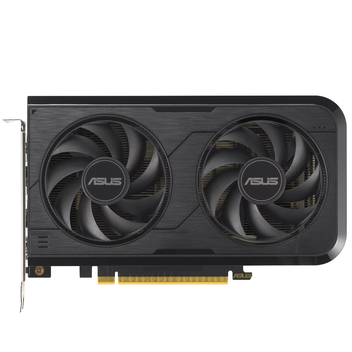 ASUS GeForce RTX 5050 DUAL OC 8GB Grafikkort