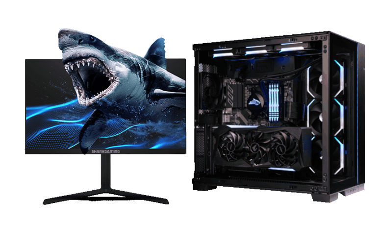 Shark