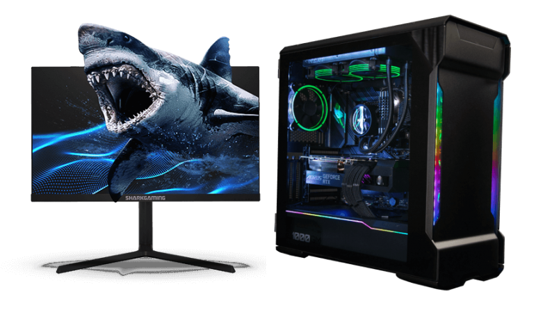 Shark