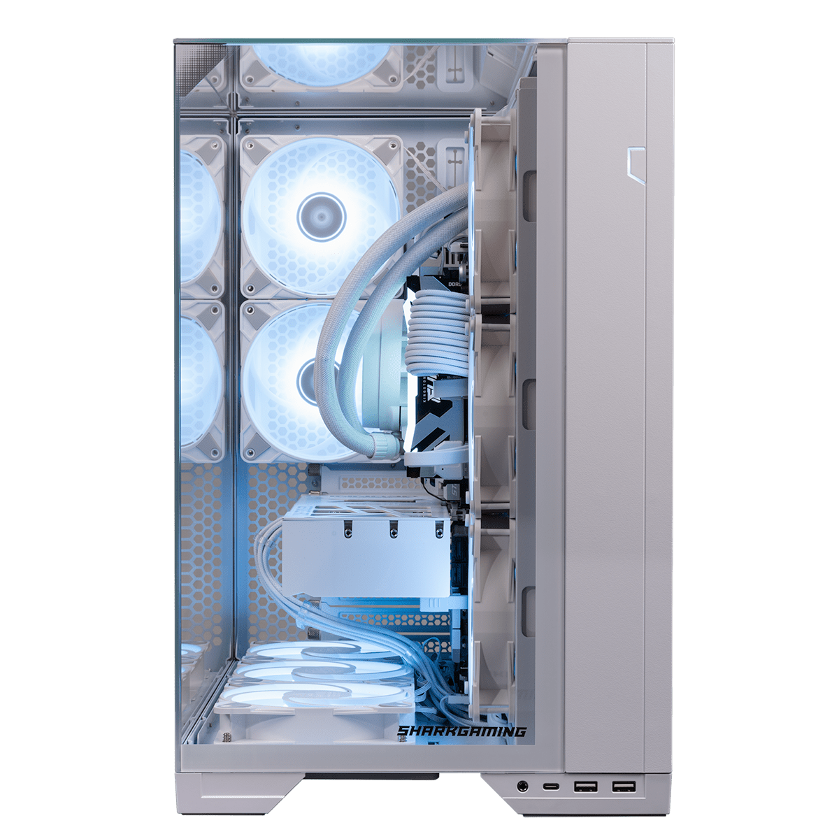 White Shark Megalodon Speldator