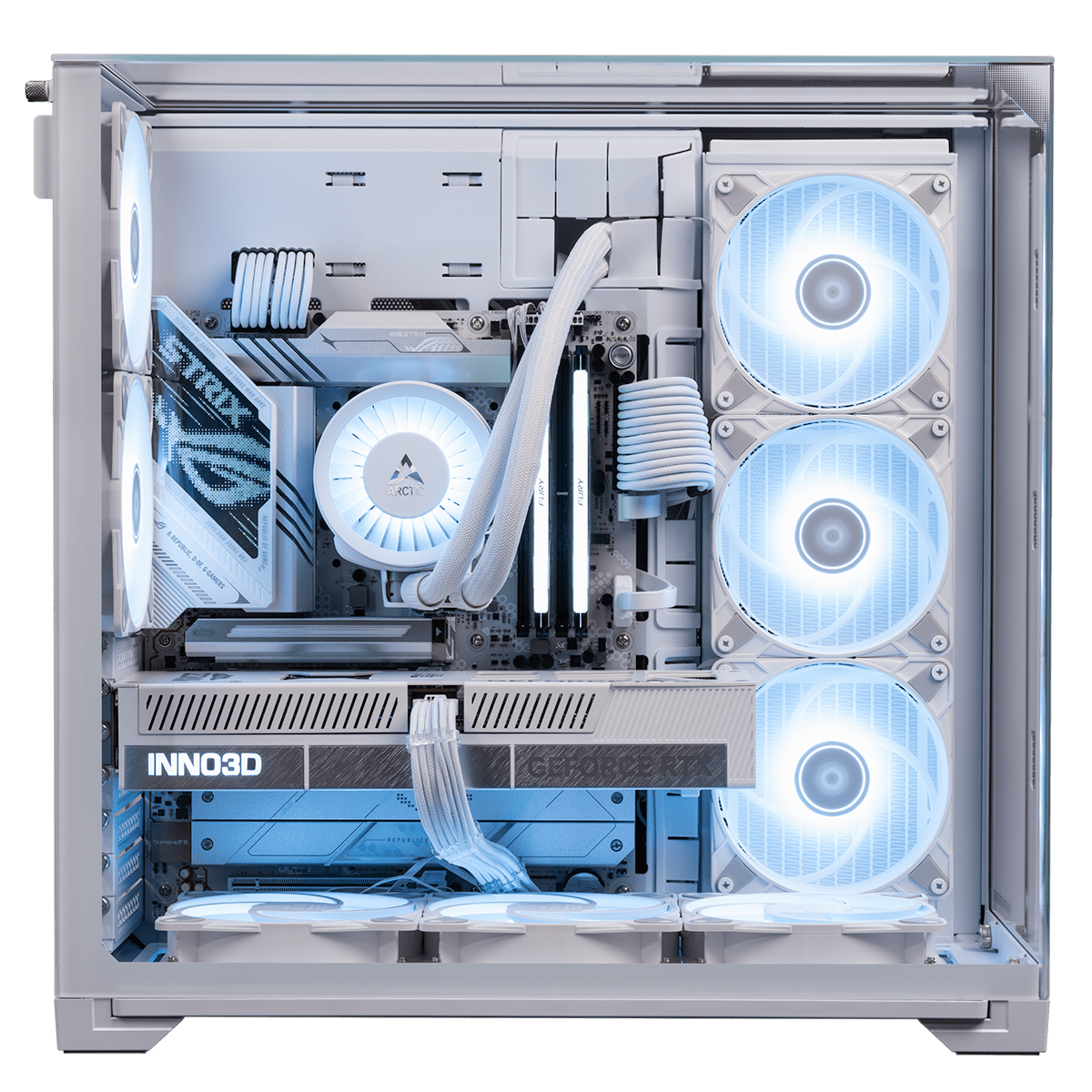 White Shark Megalodon Speldator