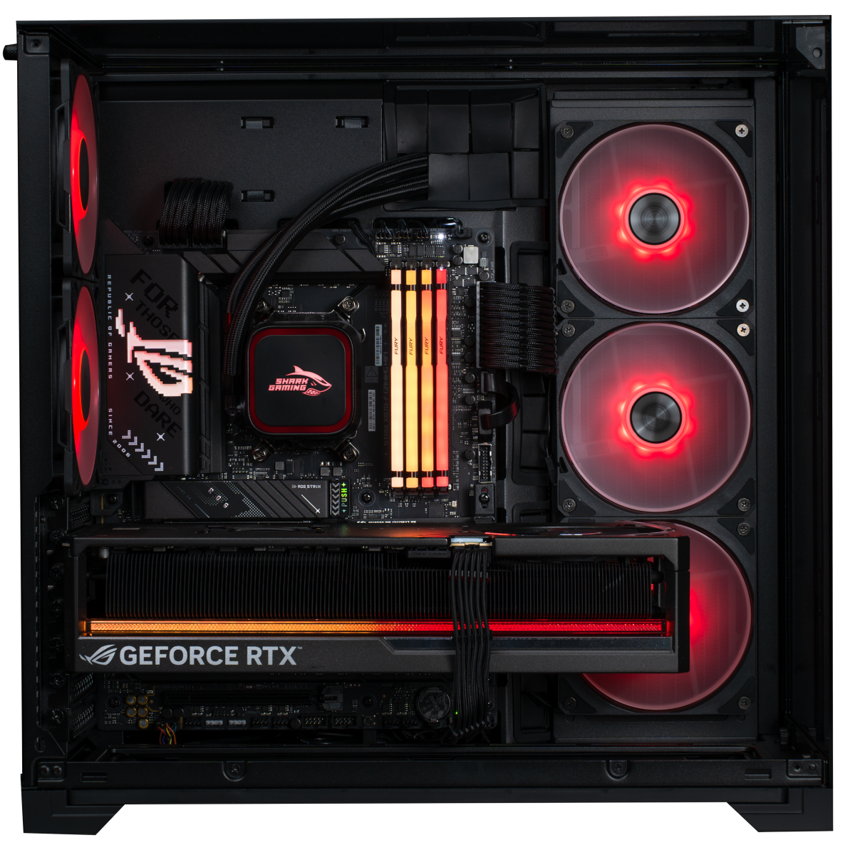 Almighty Shark Speldator