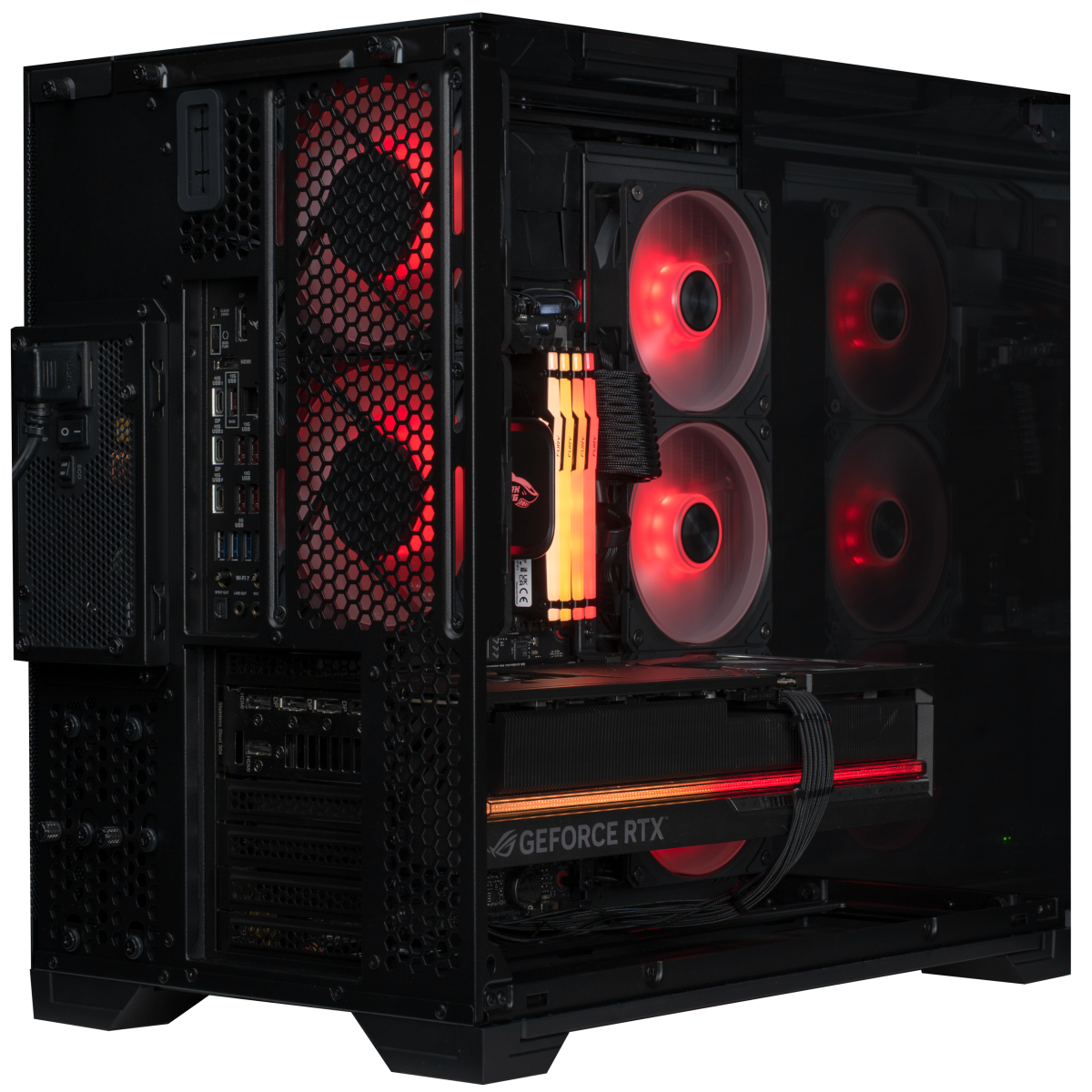 Almighty Shark Speldator