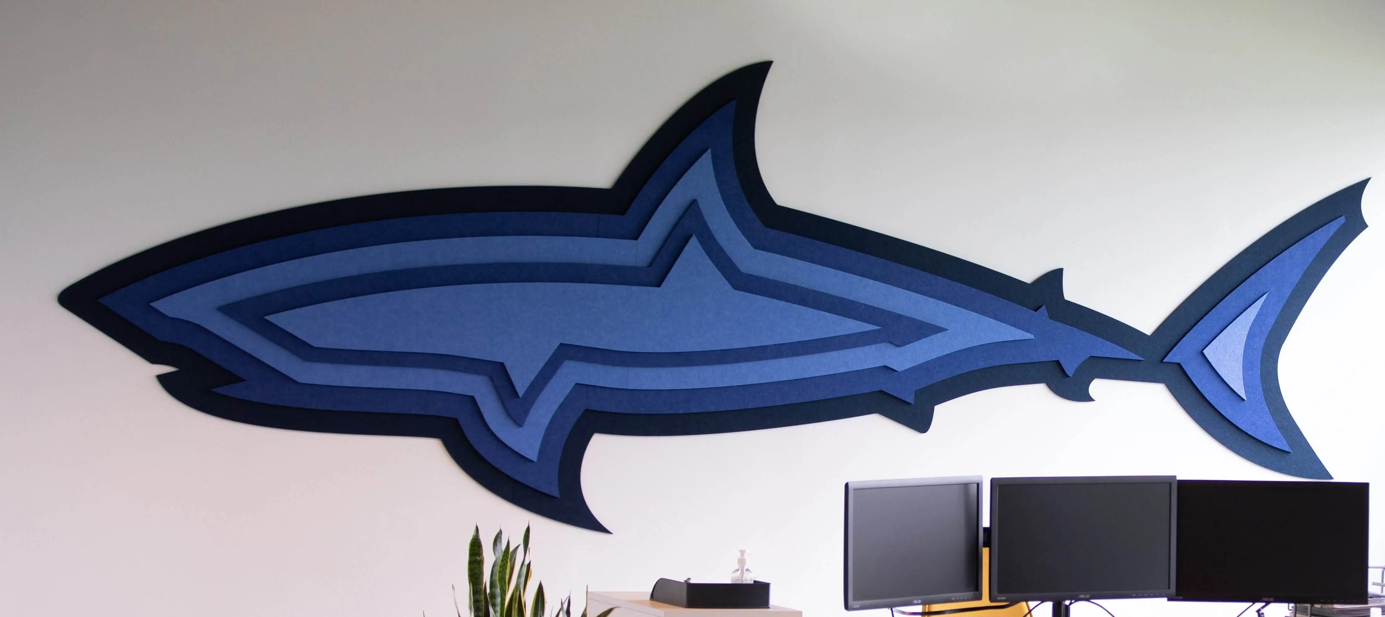 Shark on the wall in our new headquarters 